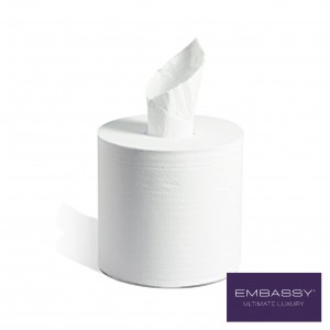 Embassy 2 ply, Centre-Pull Towel  Image 1
