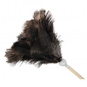 Supreme Ostrich Feather Duster Image 1