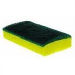 Scouring Pads and Sponges